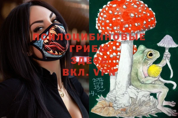 спайс Дрезна