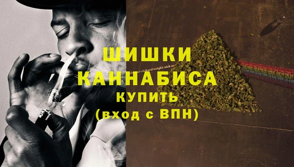 стаф Майский
