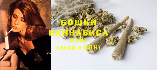 стаф Майский