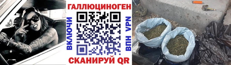 Галлюциногенные грибы прущие грибы  Нерюнгри 