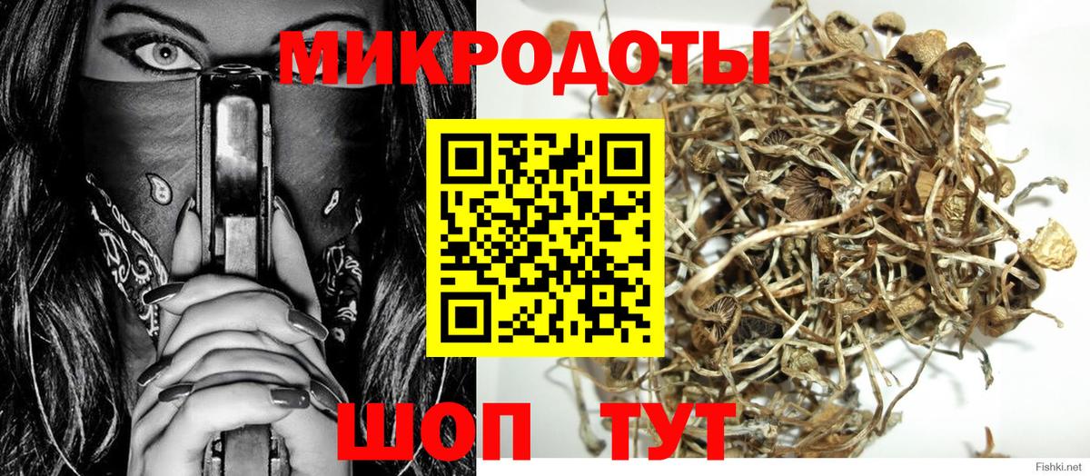 Псилоцибиновые грибы мухоморы Нерюнгри